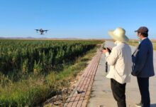 农用无人机“怎么飞”将有法可依